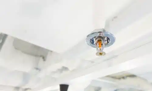 Foto di una testina ad acqua
